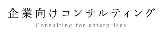 企業向けコンサルティング