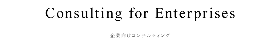 企業向けコンサルティング