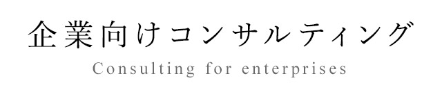 企業向けコンサルティング