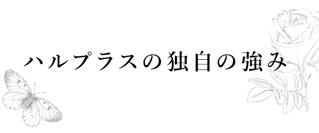 ハルプラスの独自の強み