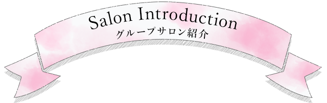 Salon Introduction