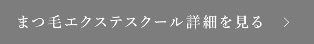 まつ毛エクステスクール詳細を見る